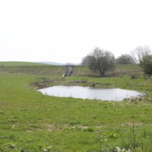 Poldr Pískovna s příjezdovou komunikací, Hať